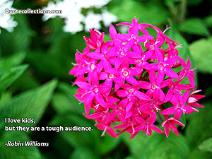 robin_williams_quotes Quotes 6