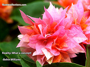 robin_williams_quotes Quotes 9