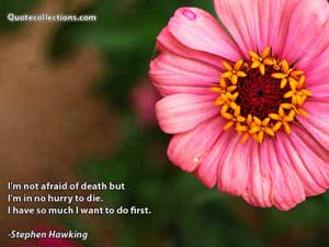 stephen_hawking_quotes Quotes 4