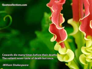 william_shakespeare_quotes Quotes 3