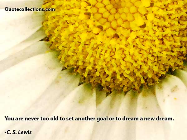 C. S. Lewis quotes3