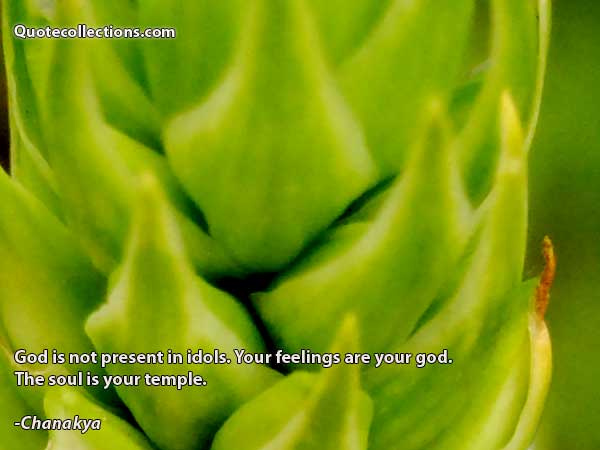 Chanakya Quotes6