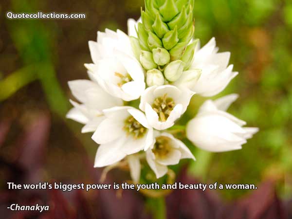 Chanakya Quotes7