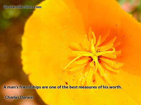 Charles Darwin Quotes2