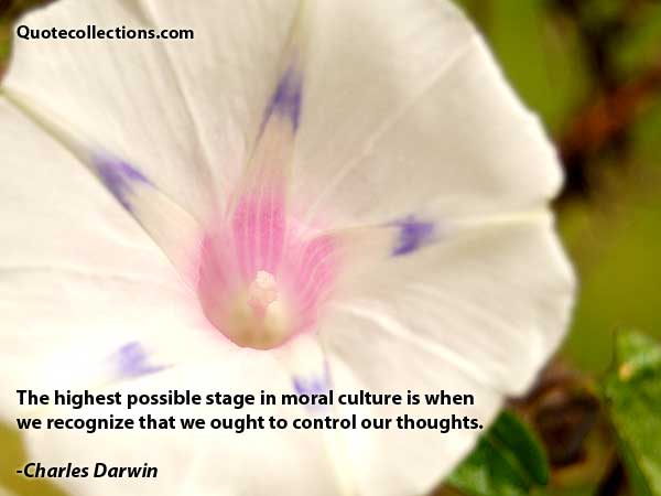 Charles Darwin Quotes3