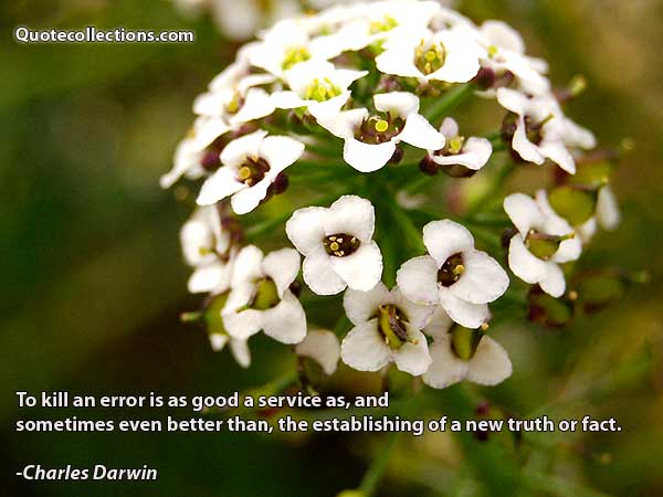 Charles Darwin Quotes4