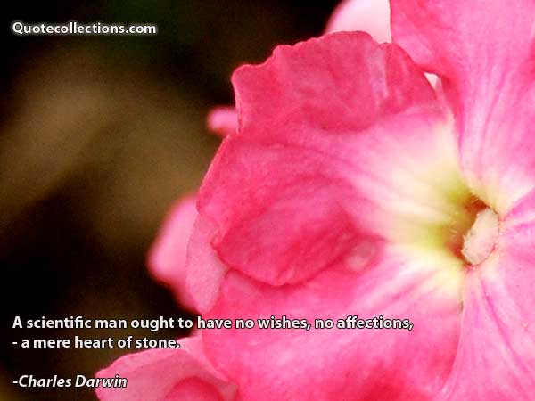 Charles Darwin Quotes5