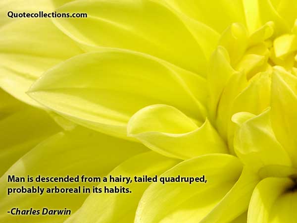 Charles Darwin Quotes7