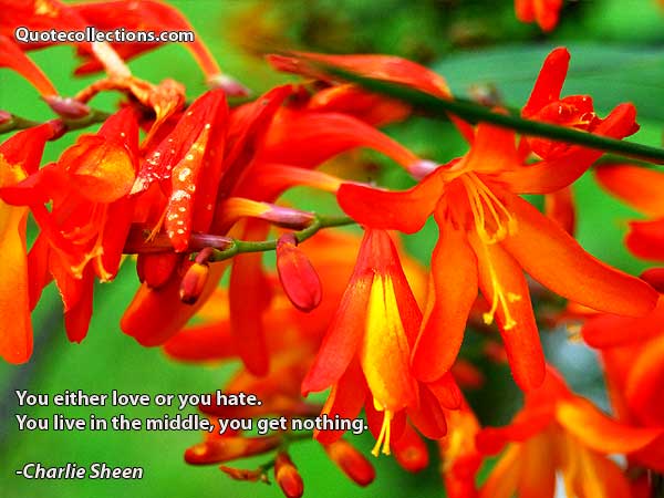 Charlie Sheen Quotes1