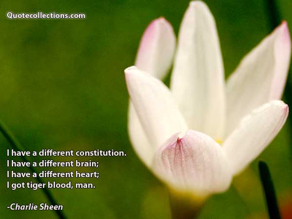 Charlie Sheen Quotes5