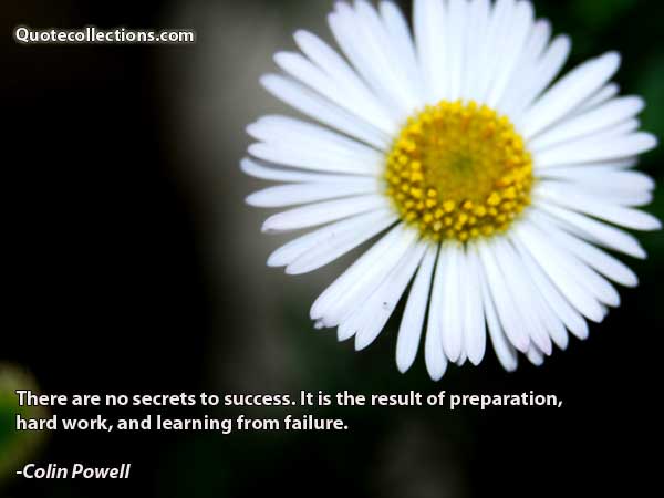 Colin Powell Quotes1