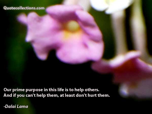 Dalai Lama Quotes5