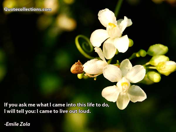 Emile Zola Quotes1