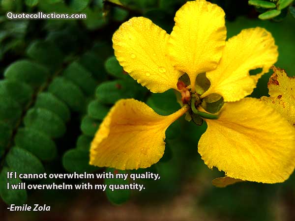 Emile Zola Quotes2