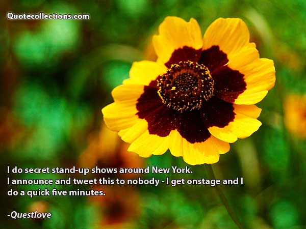 Questlove Quotes3