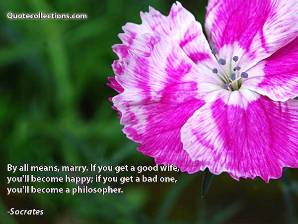 Socrates Quotes2