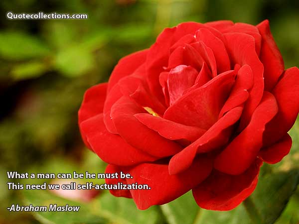 Abraham maslow quotes2