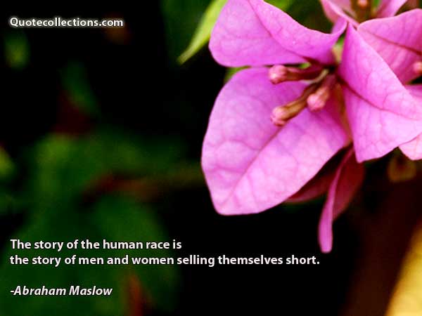 Abraham maslow quotes4