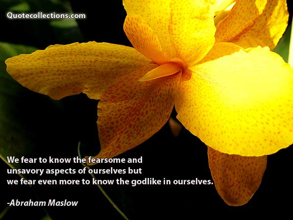 Abraham maslow quotes5