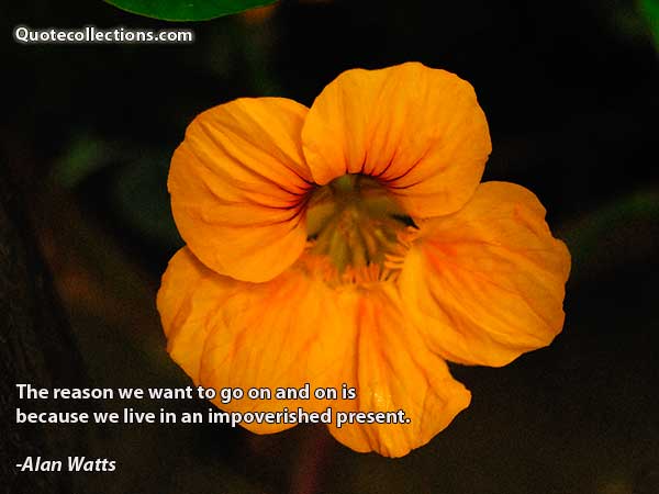 Alan watts quotes6