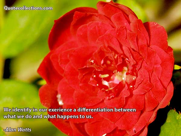 Alan watts quotes7