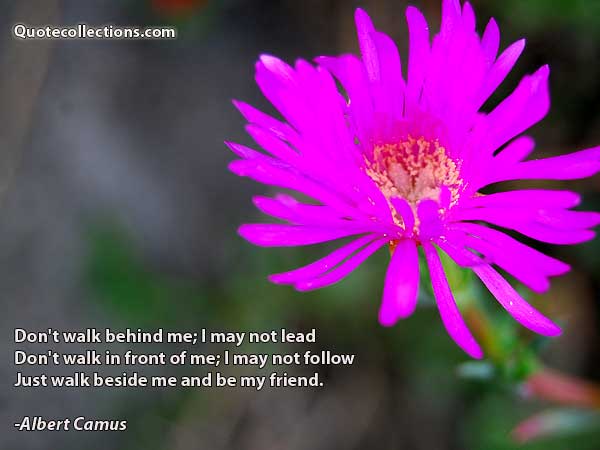 Albert Camus quotes1