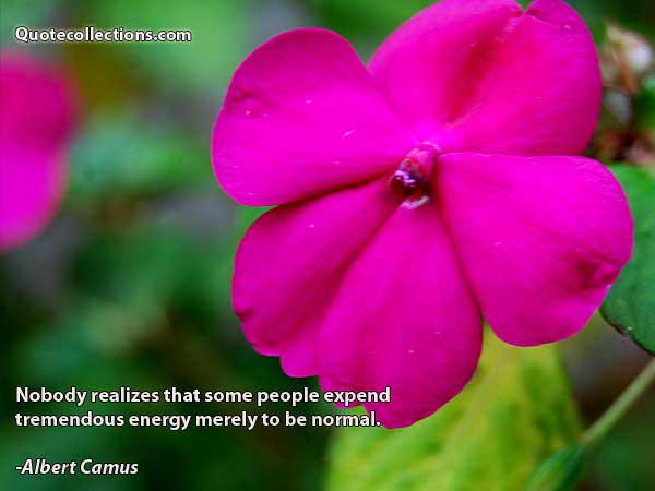 Albert Camus quotes3