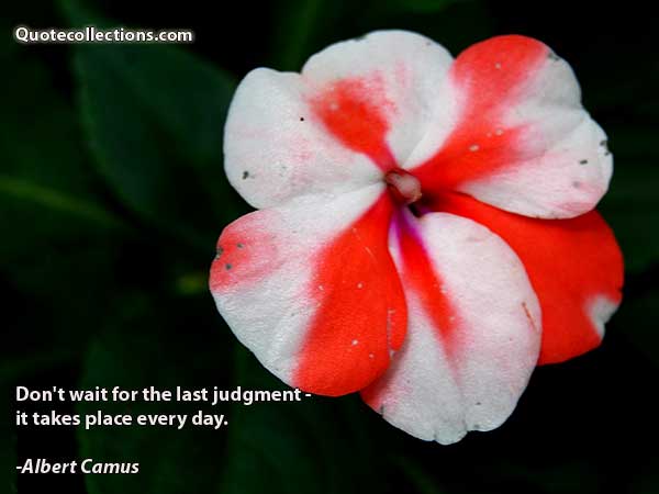 Albert Camus quotes5