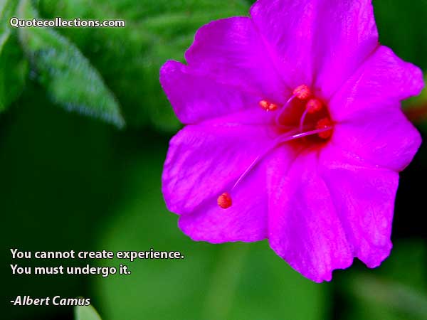 Albert Camus quotes8