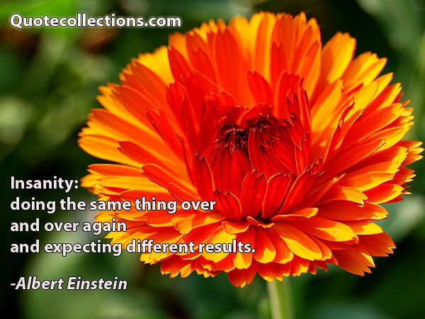 Albert einstein quotes12
