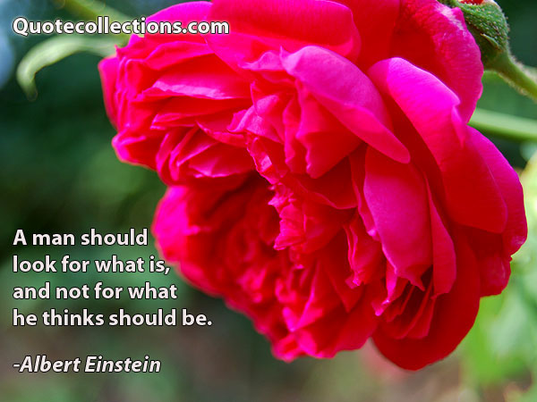 Albert einstein quotes14