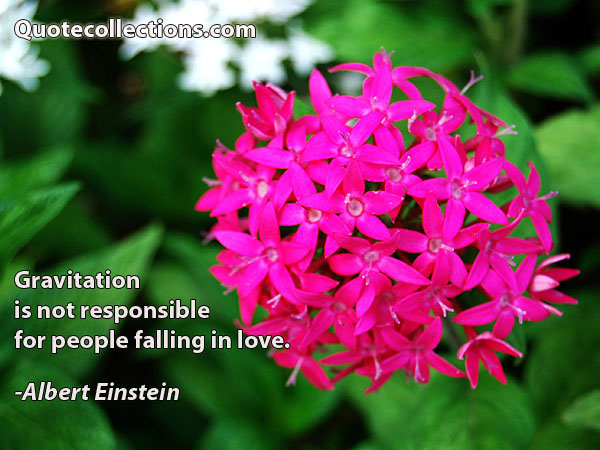 Albert einstein quotes15