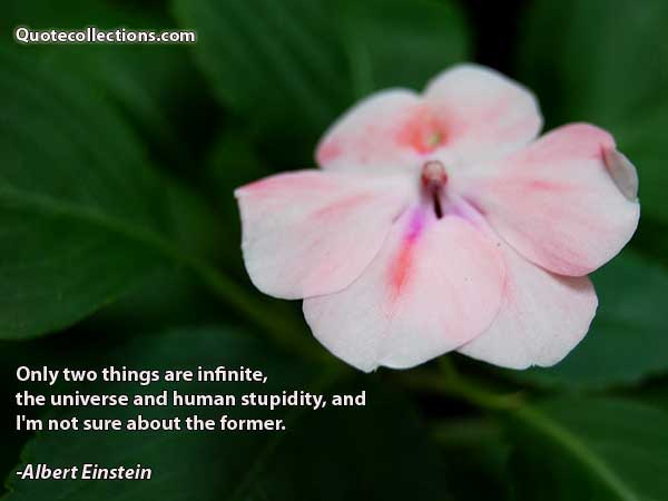 Albert einstein quotes3