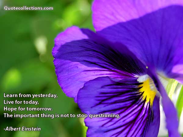 Albert einstein quotes4