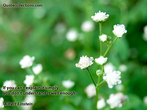 Albert einstein quotes8