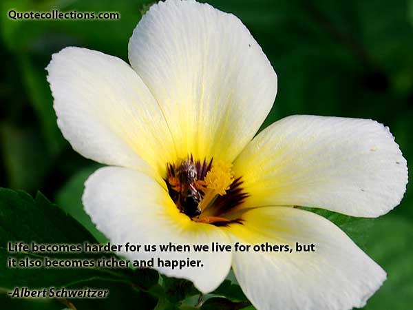 Albert Schweitzer quotes1