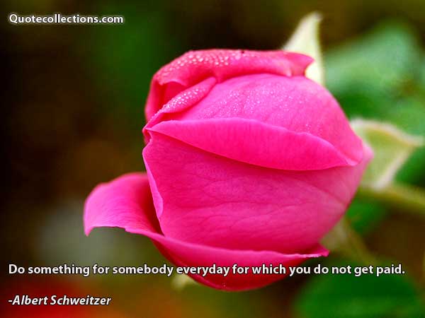 Albert Schweitzer quotes3