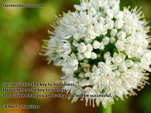 Albert Schweitzer quotes5