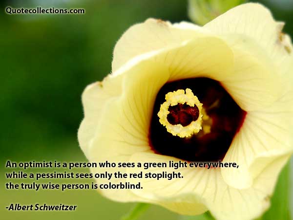 Albert Schweitzer quotes6