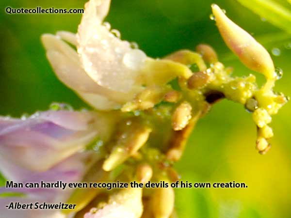 Albert Schweitzer quotes8