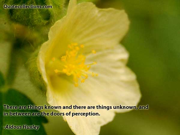 Aldous Huxley quotes4