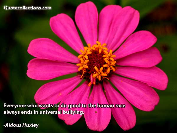 Aldous Huxley quotes6