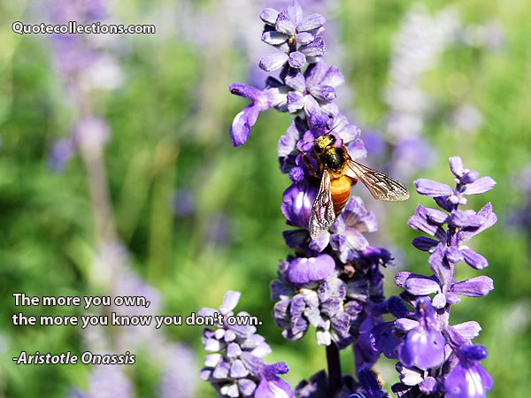 Aristotle Onassis quotes3