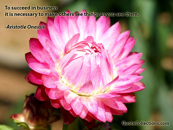 Aristotle Onassis quotes6