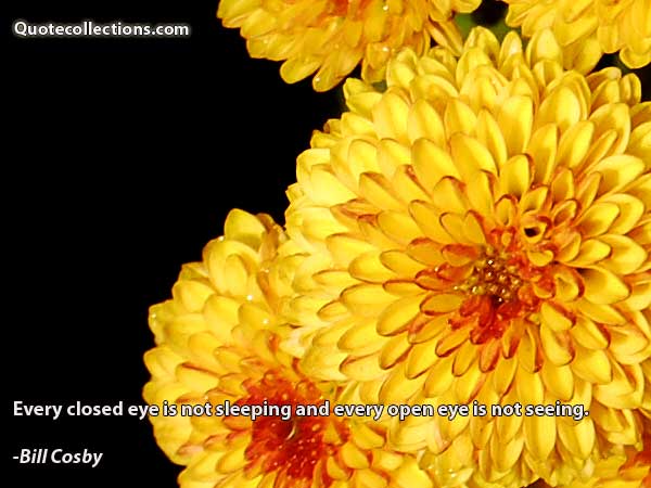 Bill Cosby quotes3