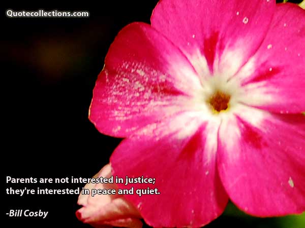 Bill Cosby quotes5