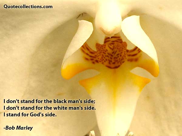 Bob Marley quotes4