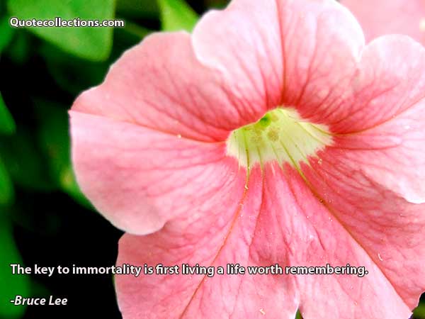 Bruce Lee quotes10