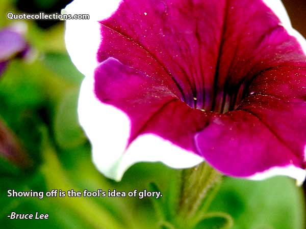 Bruce Lee quotes11