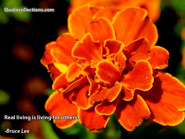 Bruce Lee quotes12
